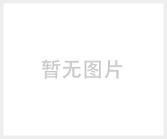 PDF直线导轨DFS15A/20B轴承导轨批发价 PDF规格型号